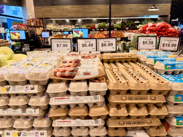 bi-weekly eggs fruits