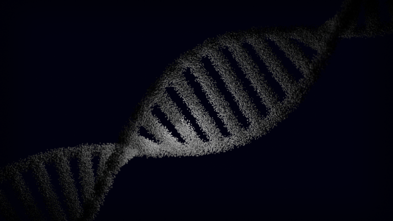 DNA glycosylase impact