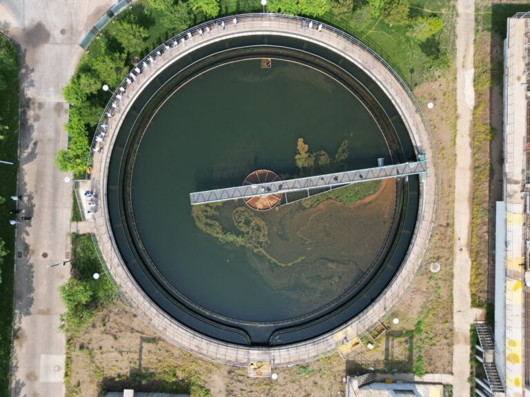 wastewater hormone effects