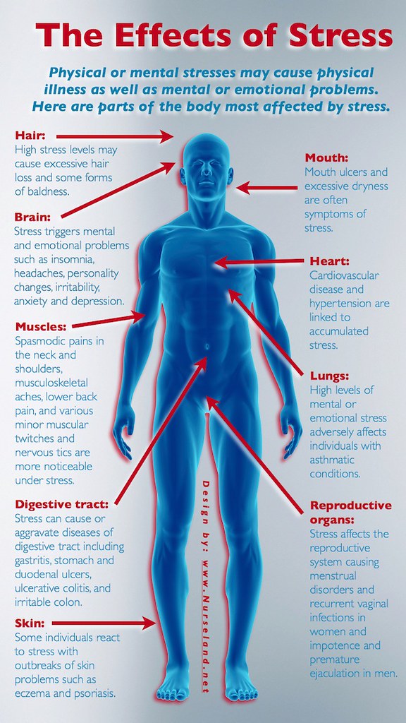 chronic stress heart risk